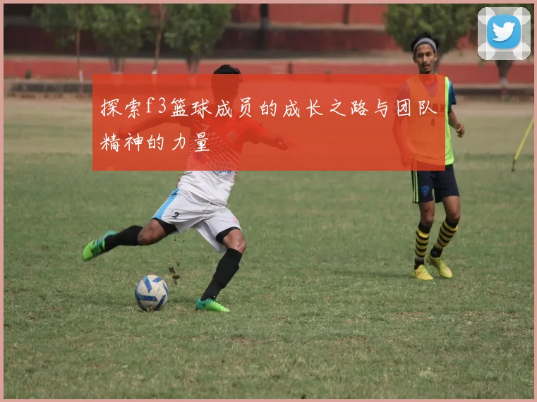 探索f3篮球成员的成长之路与团队精神的力量
