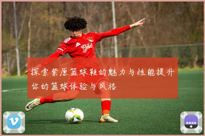 探索紫原篮球鞋的魅力与性能提升你的篮球体验与风格