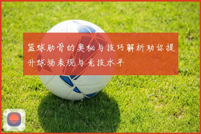 篮球肋骨的奥秘与技巧解析助你提升球场表现与竞技水平