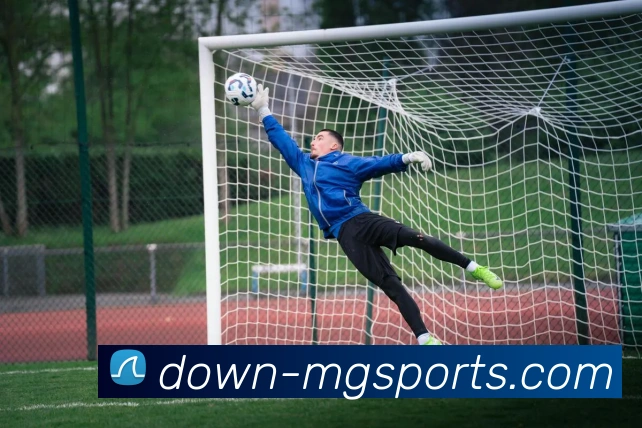 满贯体育APP 体育赛事宣传图